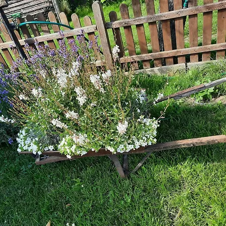 Jahnke Auf Usedom Mit Terrassee, Wlan 아파트 Zirchow