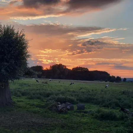 아파트 Jahnke Auf Usedom Mit Terrassee, Wlan